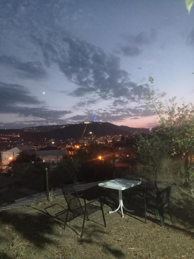 Panorama Of Tbilisi Hotel Екстериор снимка